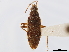  ( - CCDB-34074-G11)  @11 [ ] CreativeCommons - Attribution (2019) CBG Photography Group Smithsonian Institution