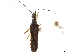  ( - CCDB-34074-H02)  @11 [ ] CreativeCommons - Attribution (2019) CBG Photography Group Smithsonian Institution