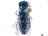  (Praestochrysis - CCDB-34077-B12)  @11 [ ] CreativeCommons - Attribution (2019) CBG Photography Group Smithsonian Institution