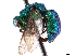  (Primeuchroeus - CCDB-34077-C02)  @11 [ ] CreativeCommons - Attribution (2019) CBG Photography Group Smithsonian Institution