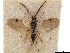  ( - CCDB-34077-D07)  @11 [ ] CreativeCommons - Attribution (2019) CBG Photography Group Smithsonian Institution