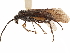  ( - CCDB-34078-B06)  @11 [ ] CreativeCommons - Attribution (2019) CBG Photography Group Smithsonian Institution