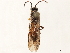  ( - CCDB-34078-B07)  @11 [ ] CreativeCommons - Attribution (2019) CBG Photography Group Smithsonian Institution