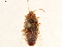  ( - CCDB-34078-D01)  @11 [ ] CreativeCommons - Attribution (2019) CBG Photography Group Smithsonian Institution