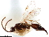  ( - CCDB-34079-A05)  @11 [ ] CreativeCommons - Attribution (2019) CBG Photography Group Smithsonian Institution