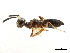  ( - CCDB-34079-F10)  @11 [ ] CreativeCommons - Attribution (2019) CBG Photography Group Smithsonian Institution