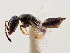  ( - CCDB-34079-G05)  @11 [ ] CreativeCommons - Attribution (2019) CBG Photography Group Smithsonian Institution