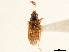  ( - CCDB-34080-H03)  @11 [ ] CreativeCommons - Attribution (2019) CBG Photography Group Smithsonian Institution