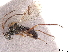  ( - CCDB-34780-G09)  @11 [ ] CreativeCommons - Attribution (2019) CBG Photography Group Smithsonian Institution
