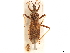  ( - CCDB-34774-D01)  @11 [ ] CreativeCommons - Attribution (2019) CBG Photography Group Smithsonian Institution
