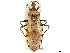  ( - CCDB-34774-F01)  @11 [ ] CreativeCommons - Attribution (2019) CBG Photography Group Smithsonian Institution