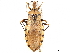  ( - CCDB-34774-F02)  @11 [ ] CreativeCommons - Attribution (2019) CBG Photography Group Smithsonian Institution