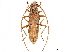  ( - CCDB-34775-F09)  @11 [ ] CreativeCommons - Attribution (2019) CBG Photography Group Smithsonian Institution