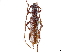 ( - CCDB-34775-H05)  @11 [ ] CreativeCommons - Attribution (2019) CBG Photography Group Smithsonian Institution