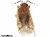  ( - CCDB-34776-A02)  @11 [ ] CreativeCommons - Attribution (2019) CBG Photography Group Smithsonian Institution