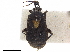  ( - CCDB-34777-B06)  @11 [ ] CreativeCommons - Attribution (2019) CBG Photography Group Smithsonian Institution
