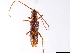  ( - CCDB-34778-D07)  @11 [ ] CreativeCommons - Attribution (2019) CBG Photography Group Smithsonian Institution