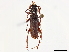  ( - CCDB-34778-E11)  @11 [ ] CreativeCommons - Attribution (2019) CBG Photography Group Smithsonian Institution