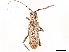  ( - CCDB-34778-G05)  @11 [ ] CreativeCommons - Attribution (2019) CBG Photography Group Smithsonian Institution