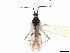  ( - CCDB-34779-A10)  @11 [ ] CreativeCommons - Attribution (2019) CBG Photography Group Smithsonian Institution