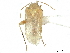  ( - CCDB-34779-B11)  @11 [ ] CreativeCommons - Attribution (2019) CBG Photography Group Smithsonian Institution
