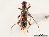  ( - CCDB-34781-B09)  @11 [ ] CreativeCommons - Attribution (2019) CBG Photography Group Smithsonian Institution