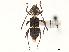  ( - CCDB-34784-G03)  @11 [ ] CreativeCommons - Attribution (2019) CBG Photography Group Smithsonian Institution