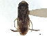  ( - CCDB-35895-A11)  @11 [ ] CreativeCommons - Attribution (2019) CBG Photography Group Smithsonian Institution