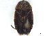  ( - CCDB-35895-C03)  @11 [ ] CreativeCommons - Attribution (2019) CBG Photography Group Smithsonian Institution