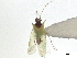  ( - CCDB-35895-E12)  @11 [ ] CreativeCommons - Attribution (2019) CBG Photography Group Smithsonian Institution