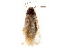  ( - CCDB-45158-B02)  @11 [ ] CreativeCommons - Attribution Share - Alike (2023) CBG Photography Group Centre for Biodiversity Genomics