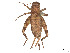  ( - CCDB-45160-H11)  @11 [ ] CreativeCommons - Attribution Share - Alike (2023) CBG Photography Group Centre for Biodiversity Genomics