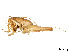  ( - CCDB-45167-A03)  @11 [ ] CreativeCommons - Attribution Share - Alike (2023) CBG Photography Group Centre for Biodiversity Genomics