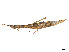  ( - CCDB-45167-B11)  @11 [ ] CreativeCommons - Attribution Share - Alike (2023) CBG Photography Group Centre for Biodiversity Genomics