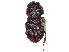  ( - CCDB-45168-B09)  @11 [ ] CreativeCommons - Attribution Share - Alike (2023) CBG Photography Group Centre for Biodiversity Genomics