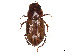  ( - CCDB-45169-E08)  @11 [ ] CreativeCommons - Attribution Share - Alike (2023) CBG Photography Group Centre for Biodiversity Genomics