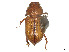  ( - CCDB-45169-G04)  @11 [ ] CreativeCommons - Attribution Share - Alike (2023) CBG Photography Group Centre for Biodiversity Genomics