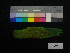  ( - 646942)  @12 [ ] CreativeCommons - Attribution Non-Commercial Share-Alike (2013) Unspecified National Museum of Natural History, Smithsonian Institution