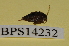  ( - BPS14232)  @12 [ ] No Rights Reserved  Unspecified Unspecified