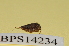  ( - BPS14234)  @12 [ ] No Rights Reserved  Unspecified Unspecified