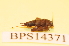  ( - BPS14371)  @12 [ ] No Rights Reserved  Unspecified Unspecified