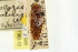  ( - CCDB-20829-G05)  @11 [ ] CreativeCommons - Attribution (2013) CBG Photography Group Centre for Biodiversity Genomics