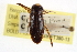  ( - CCDB-20829-H11)  @11 [ ] CreativeCommons - Attribution (2013) CBG Photography Group Centre for Biodiversity Genomics