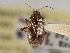  ( - CCDB-21309-B05)  @11 [ ] CreativeCommons - Attribution (2013) CBG Photography Group Centre for Biodiversity Genomics