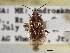  ( - CCDB-21309-B10)  @11 [ ] CreativeCommons - Attribution (2013) CBG Photography Group Centre for Biodiversity Genomics