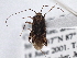  ( - CCDB-21310-C11)  @13 [ ] CreativeCommons - Attribution (2013) CBG Photography Group Centre for Biodiversity Genomics