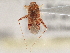  ( - CCDB-21310-D05)  @11 [ ] CreativeCommons - Attribution (2013) CBG Photography Group Centre for Biodiversity Genomics