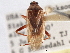  ( - CCDB-21310-G12)  @11 [ ] CreativeCommons - Attribution (2013) CBG Photography Group Centre for Biodiversity Genomics