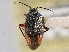  ( - CCDB-21311-A02)  @11 [ ] CreativeCommons - Attribution (2013) CBG Photography Group Centre for Biodiversity Genomics