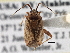  ( - CCDB-21311-A12)  @11 [ ] CreativeCommons - Attribution (2013) CBG Photography Group Centre for Biodiversity Genomics